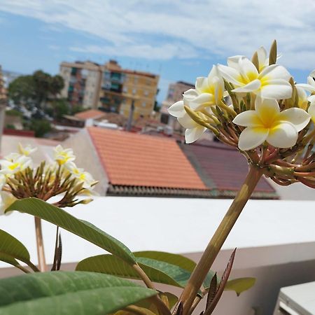 Apartamento Plumaria Malaga Exterior photo